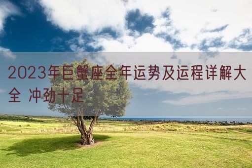 2023年巨蟹座全年运势及运程详解大全 冲劲十足(图1)