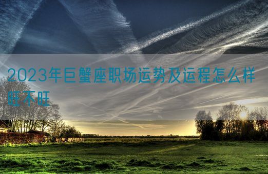 2023年巨蟹座职场运势及运程怎么样 旺不旺(图1)