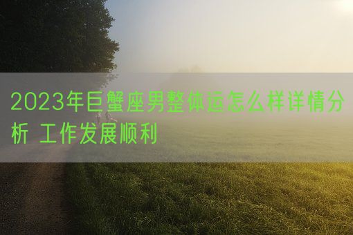 2023年巨蟹座男整体运怎么样详情分析 工作发展顺利(图1)