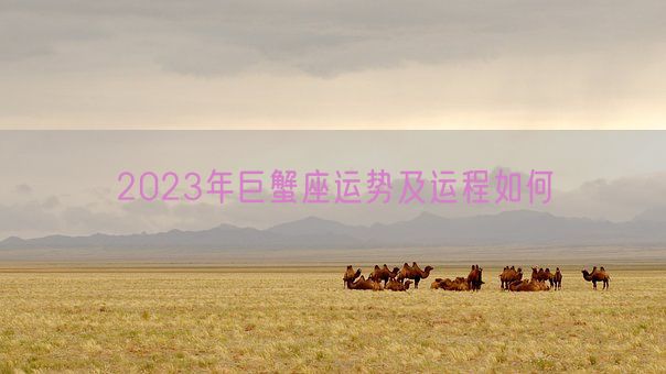 2023年巨蟹座运势及运程如何(图1)