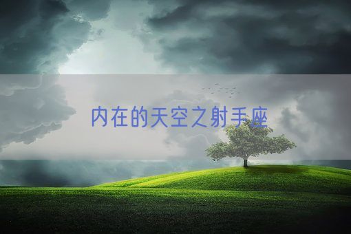 内在的天空之射手座(图1)