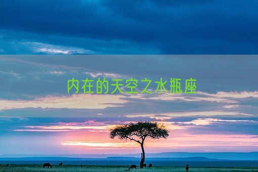 内在的天空之水瓶座(图1)