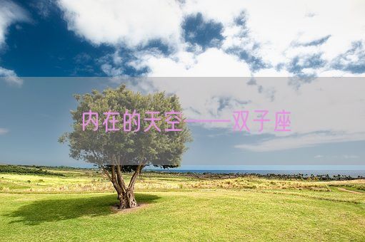 内在的天空——双子座(图1)