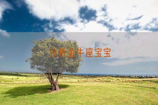 分析金牛座宝宝(图1)