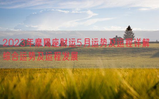 2023年摩羯座财运5月运势及运程详解  综合运势及运程发展(图1)