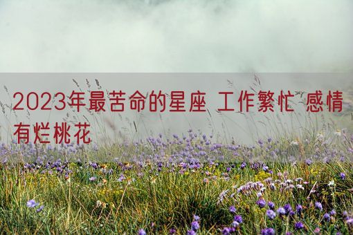 2023年最苦命的星座 工作繁忙 感情有烂桃花(图1)