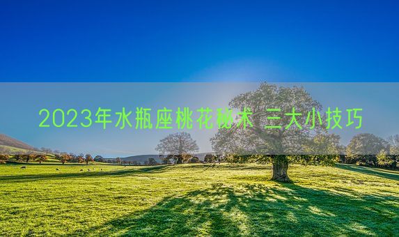 2023年水瓶座桃花秘术 三大小技巧(图1)