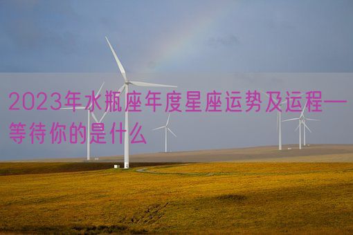 2023年水瓶座年度星座运势及运程—等待你的是什么(图1)