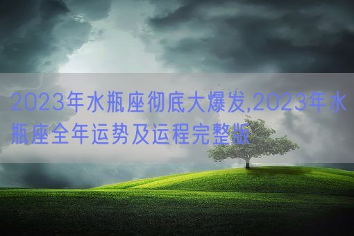 2023年水瓶座彻底大爆发,2023年水瓶座全年运势及运程完整版(图1)
