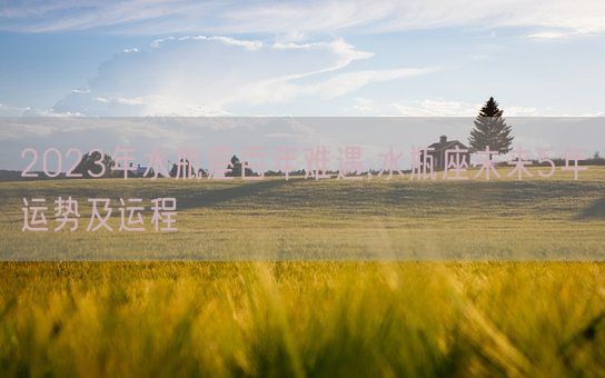 2023年水瓶座百年难遇,水瓶座未来5年运势及运程(图1)
