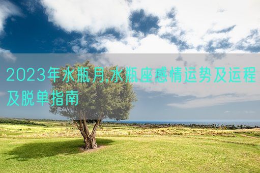 2023年水瓶月,水瓶座感情运势及运程及脱单指南(图1)