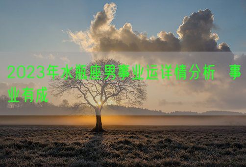 2023年水瓶座男事业运详情分析  事业有成(图1)