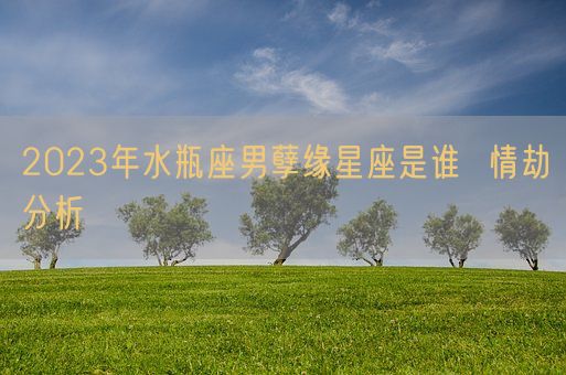 2023年水瓶座男孽缘星座是谁  情劫分析(图1)