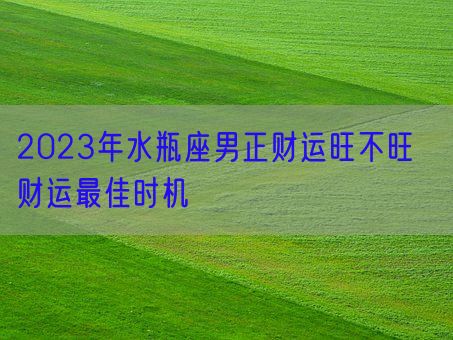 2023年水瓶座男正财运旺不旺  财运最佳时机(图1)