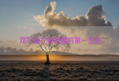 双子座女被劈腿的第一反应(图1)