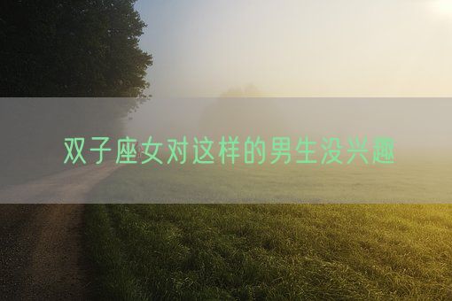 双子座女对这样的男生没兴趣(图1)