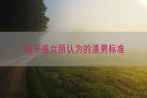 双子座女所认为的渣男标准(图1)