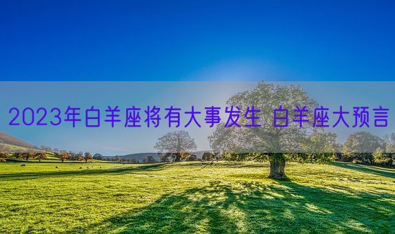 2023年白羊座将有大事发生 白羊座大预言(图1)