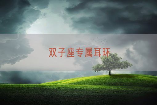 双子座专属耳环(图1)