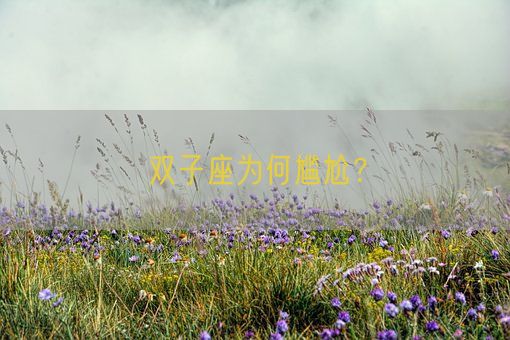 双子座为何尴尬？(图1)