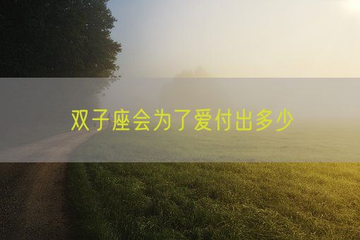 双子座会为了爱付出多少(图1)