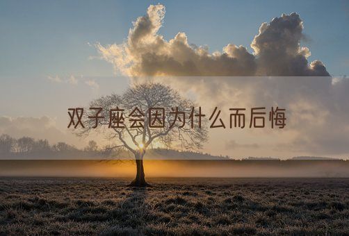 双子座会因为什么而后悔(图1)