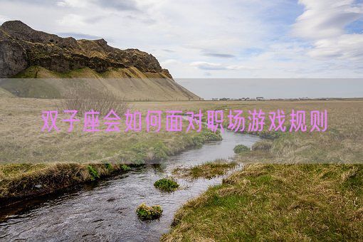 双子座会如何面对职场游戏规则(图1)
