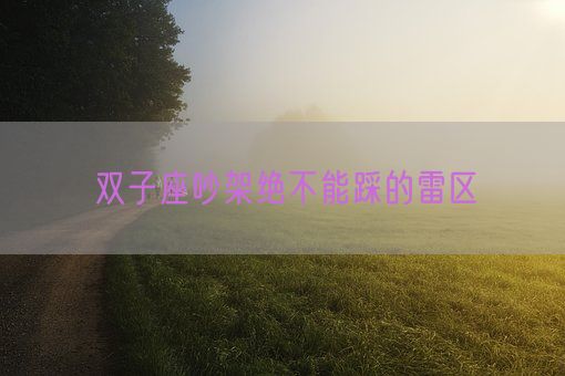 双子座吵架绝不能踩的雷区(图1)