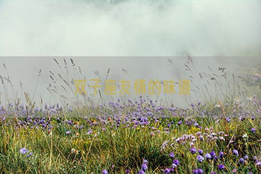 双子座友情的味道(图1)