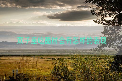双子座吃醋时会有怎样的表现(图1)