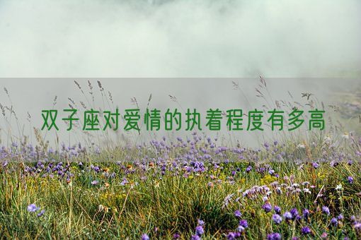 双子座对爱情的执着程度有多高(图1)