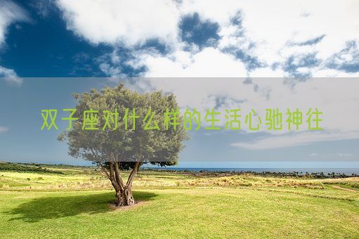 双子座对什么样的生活心驰神往(图1)