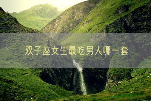 双子座女生最吃男人哪一套(图1)