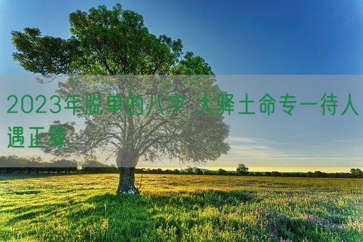 2023年脱单的八字 大驿土命专一待人遇正缘(图1)