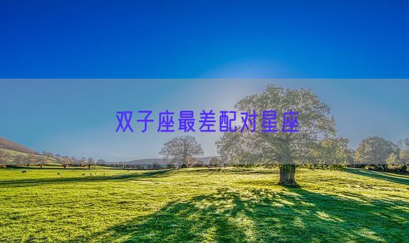 双子座最差配对星座(图1)