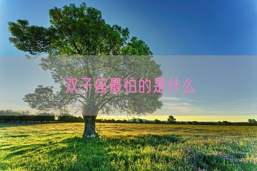 双子座最怕的是什么(图1)