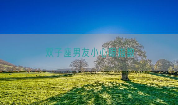双子座男友小心眼指数(图1)