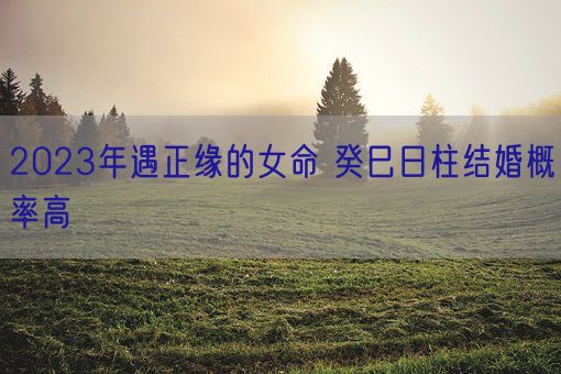 2023年遇正缘的女命 癸巳日柱结婚概率高(图1)