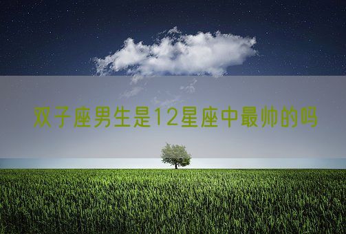 双子座男生是12星座中最帅的吗(图1)