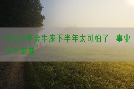 2023年金牛座下半年太可怕了  事业大步发展(图1)