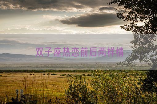 双子座热恋前后两样情(图1)