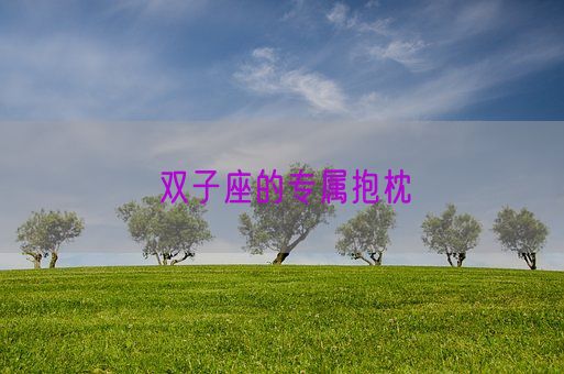 双子座的专属抱枕(图1)