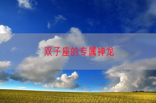 双子座的专属神龙(图1)