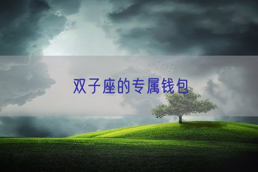 双子座的专属钱包(图1)