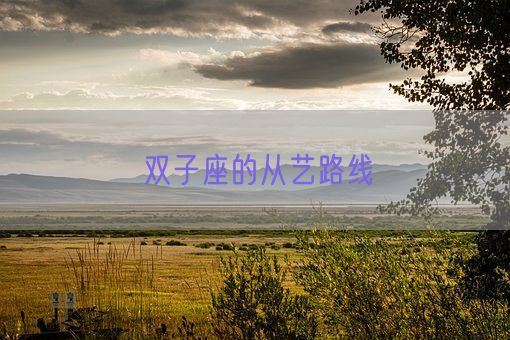 双子座的从艺路线(图1)