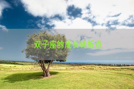 双子座的成长转折点(图1)