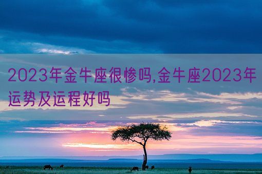 2023年金牛座很惨吗,金牛座2023年运势及运程好吗(图1)