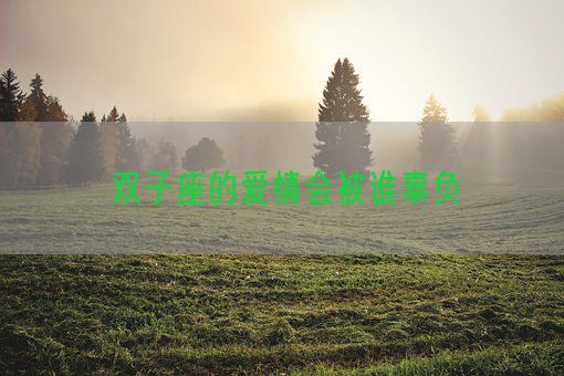 双子座的爱情会被谁辜负(图1)