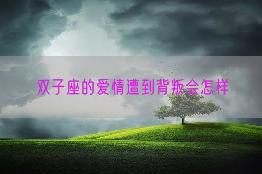 双子座的爱情遭到背叛会怎样(图1)