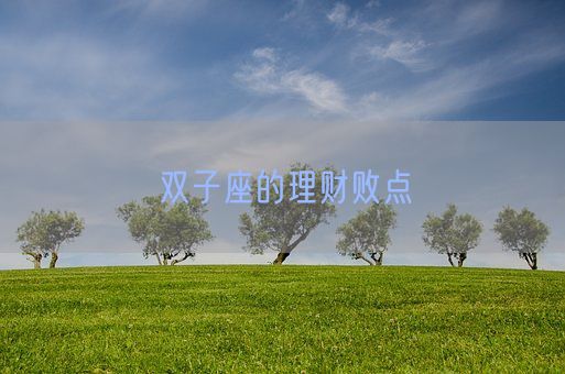 双子座的理财败点(图1)